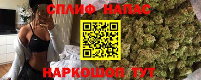твердый Будённовск