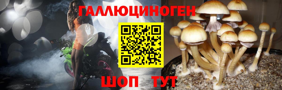 Кохма  Галлюциногенные грибы Cubensis  Вход с VPN 